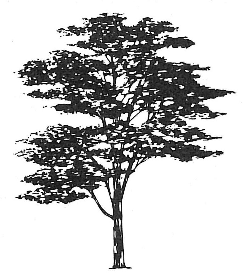 swfu/d/20251015143822509_0001.jpg swfu/d/20251015143822509_0001.jpg