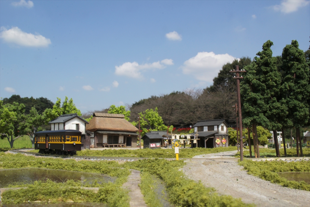 swfu/d/IMG_9407_R2.jpg swfu/d/IMG_9407_R2.jpg