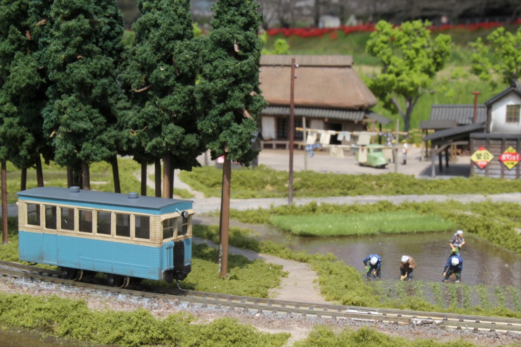 swfu/d/IMG_9418_R.jpg swfu/d/IMG_9418_R.jpg